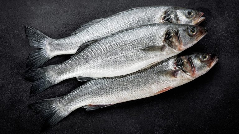 Svensk nettmotegigant bøtelagt for salg av fiskefarlige vesker